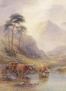 unknow artist Highland cattle in a stream Germany oil painting artist